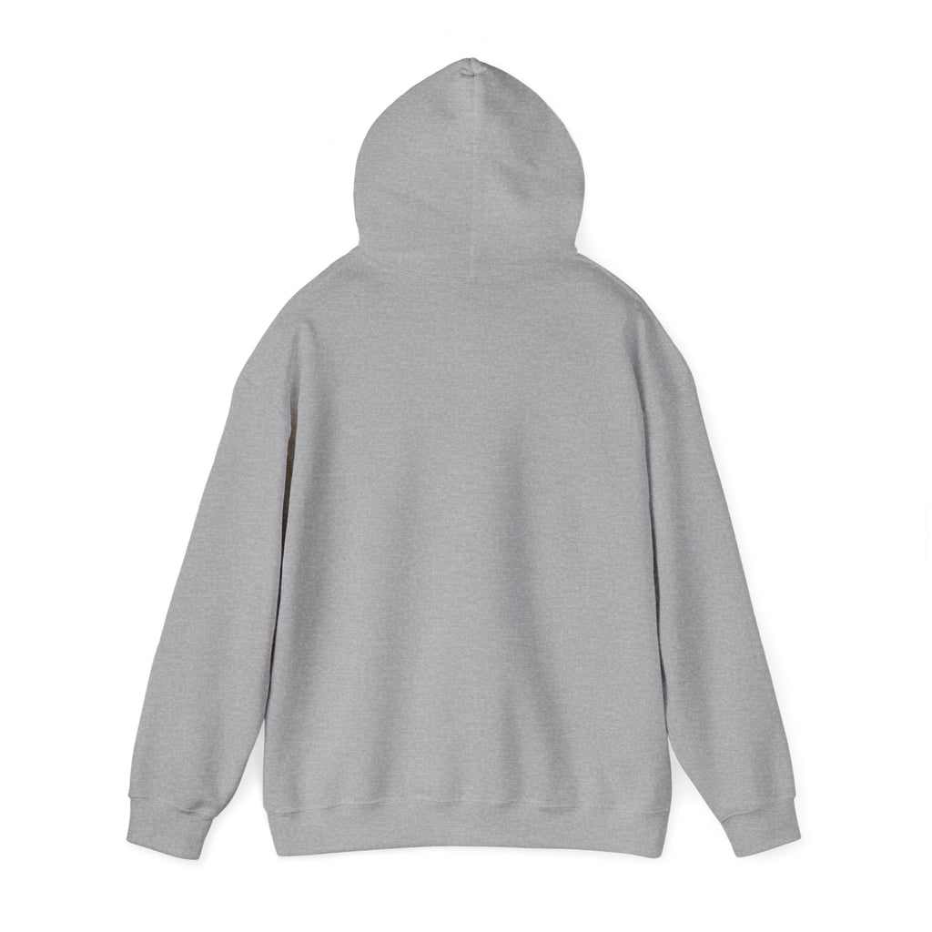 Vintage Americana 'Road Trip' Hoodie | red white blue, retro souvenir