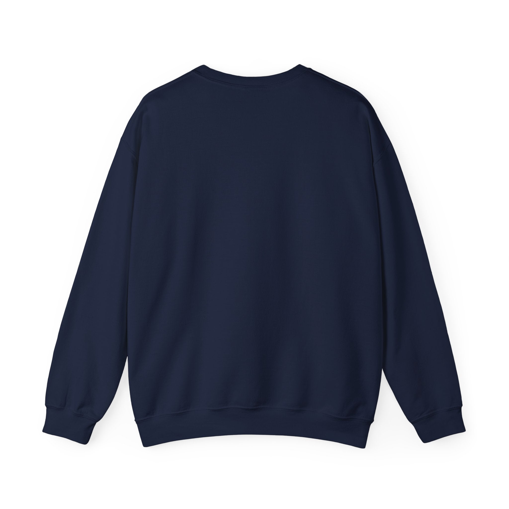 Stars & Stripes Road Trip Sweatshirt | vintage USA, red white blue Americana