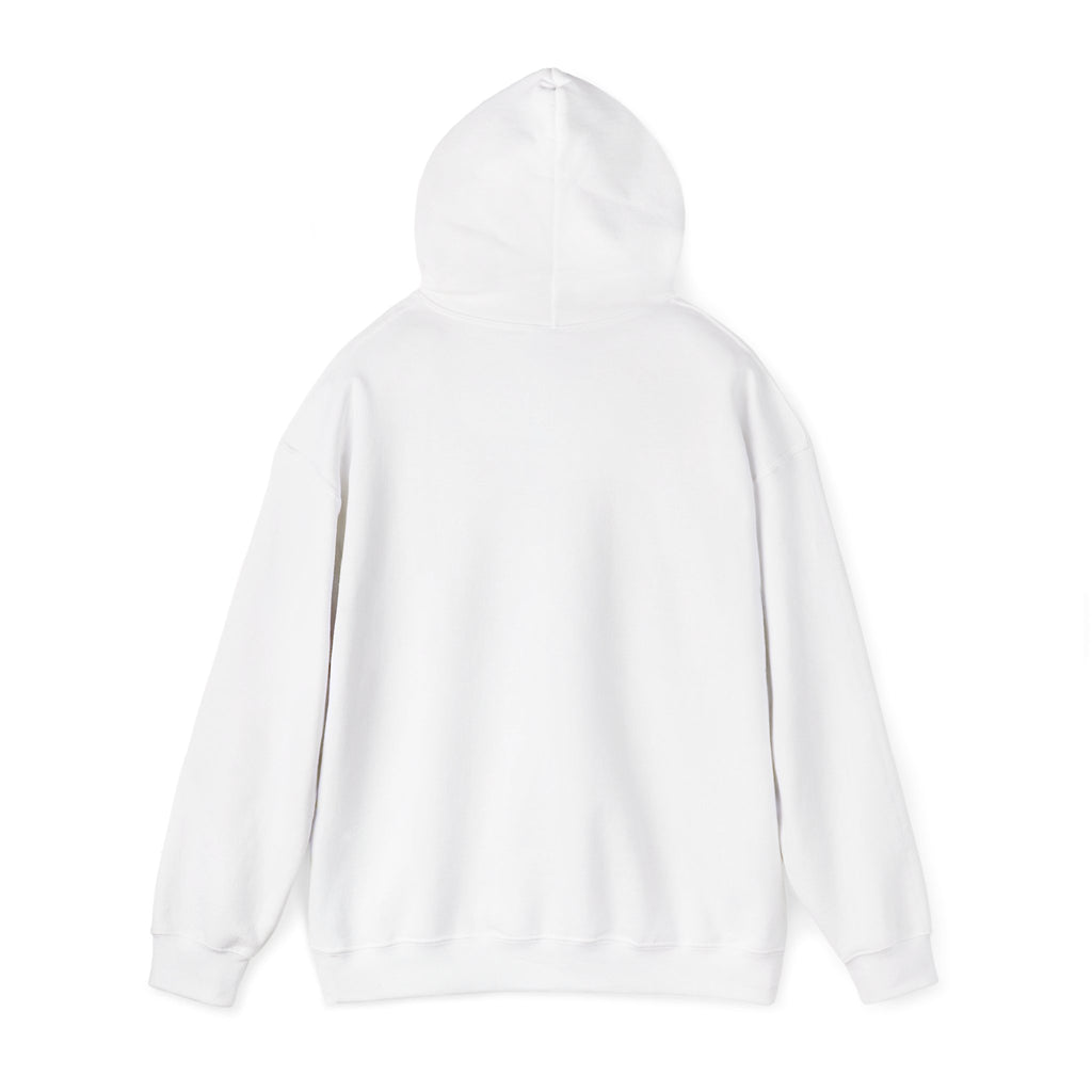 Vintage Americana 'Road Trip' Hoodie | red white blue, retro souvenir