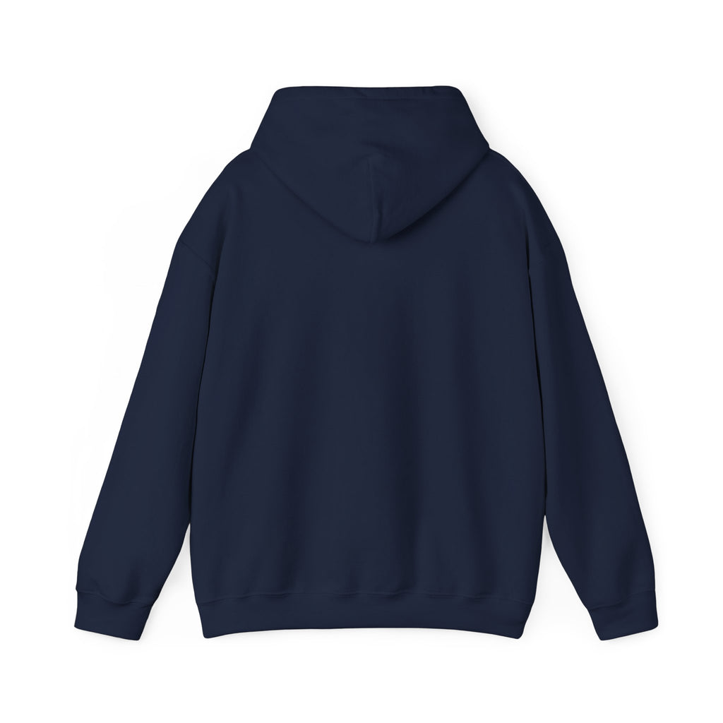 Vintage Americana 'Road Trip' Hoodie | red white blue, retro souvenir