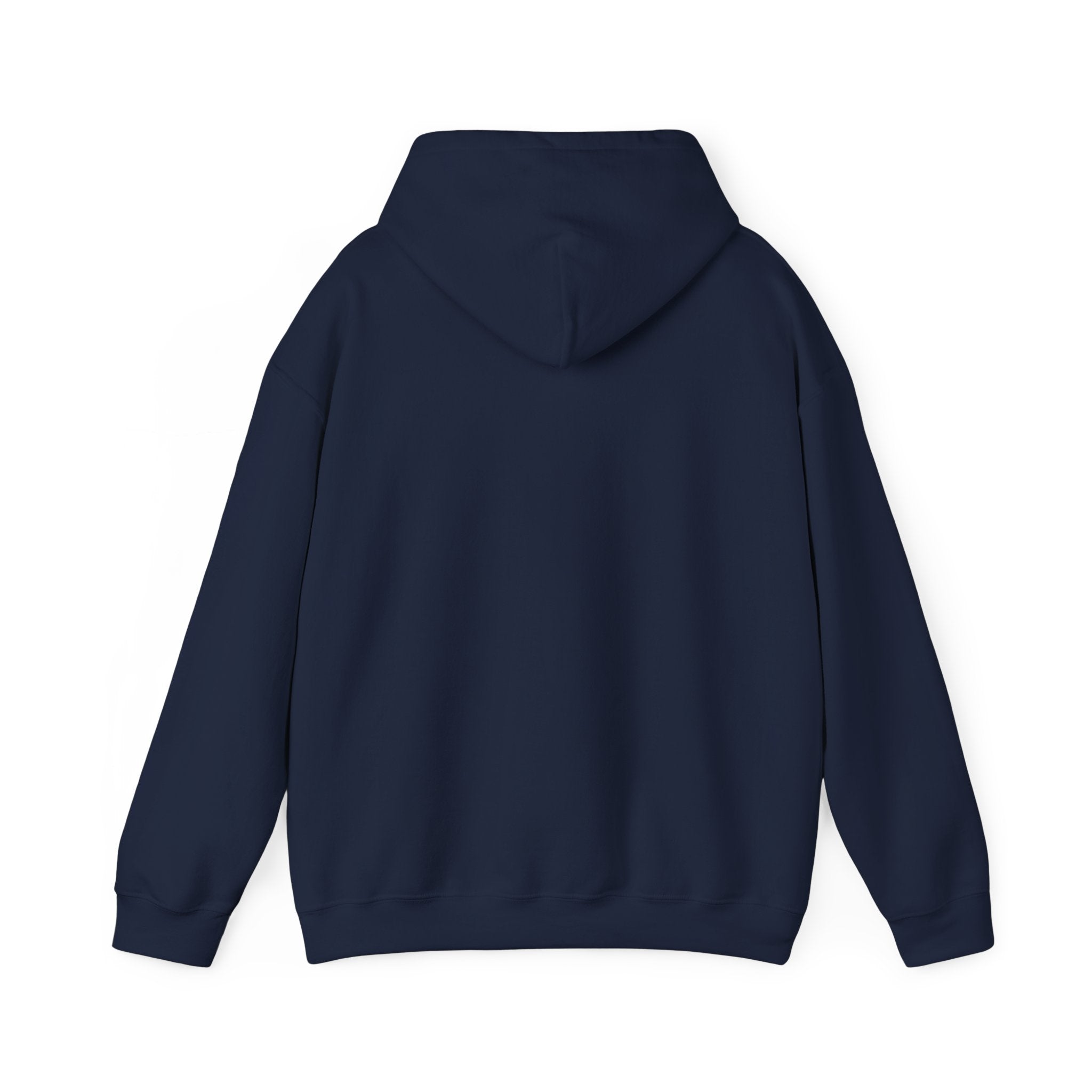 Vintage Americana 'Road Trip' Hoodie | red white blue, retro souvenir