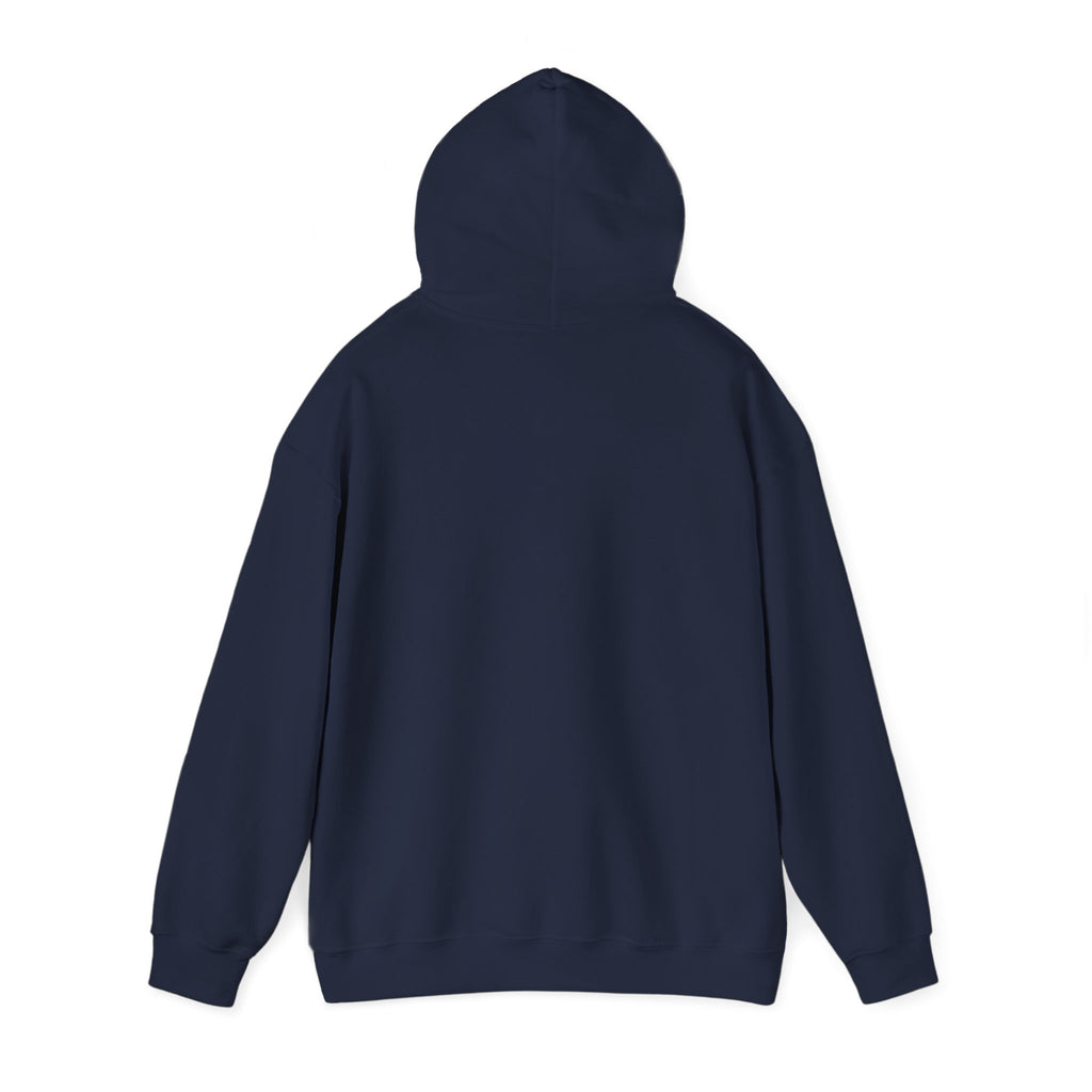 Vintage Americana 'Road Trip' Hoodie | red white blue, retro souvenir