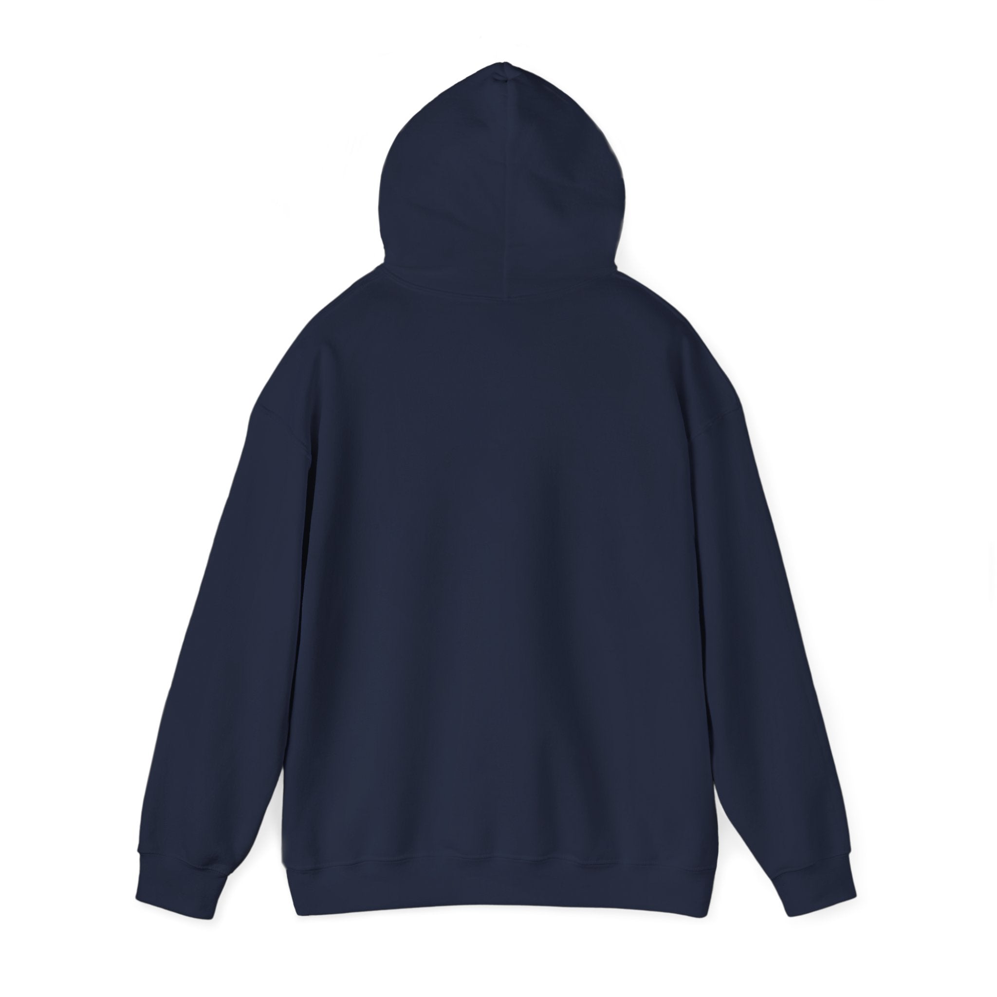 Vintage Americana 'Road Trip' Hoodie | red white blue, retro souvenir